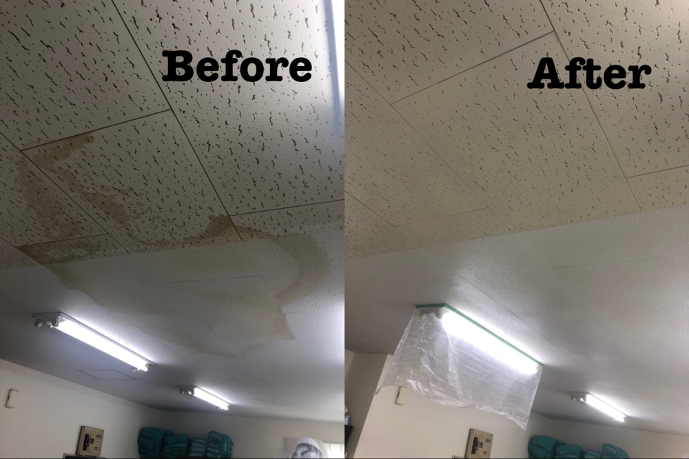 事務所のジプトーン天井のシミ補修 / 埼玉県行田市